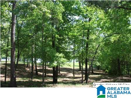 872 Lock 4 Road Riverside, AL 35135 - Photo 3 of 8