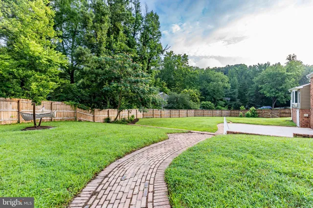 a view of a park with large trees
