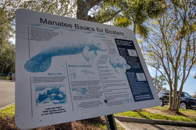 an aerial view of a swimming pool