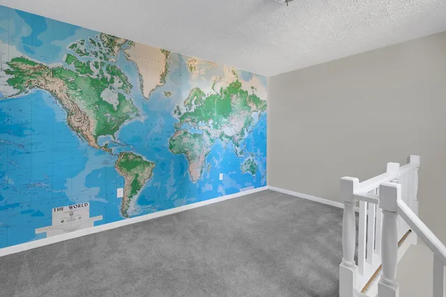 a view of a bunch of plants