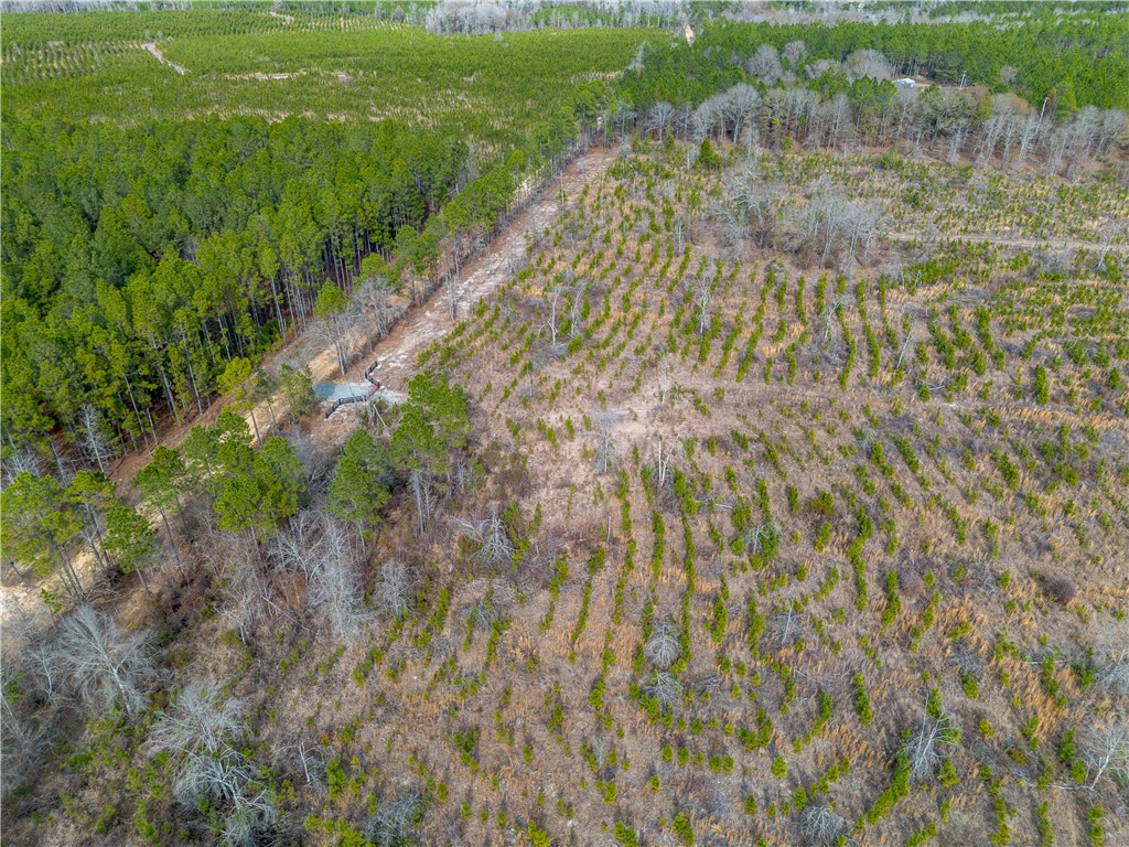 1 Wilson Woodard Road Eastman, GA 31023 - Photo 2 of 9