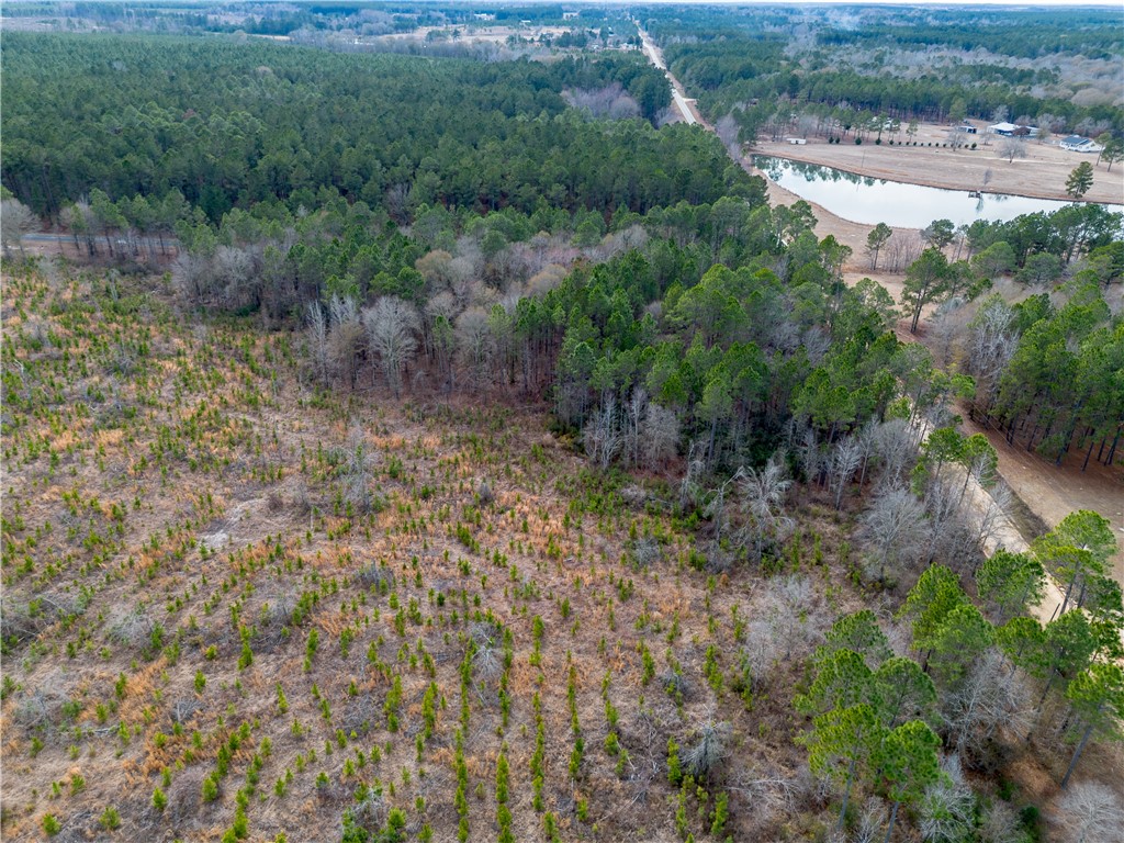 1 Wilson Woodard Road Eastman, GA 31023 - Photo 3 of 9