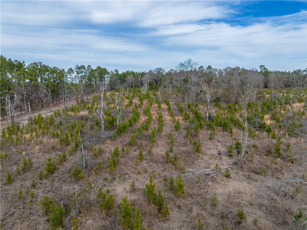 1 Wilson Woodard Road Eastman, GA 31023 - Photo 4 of 9