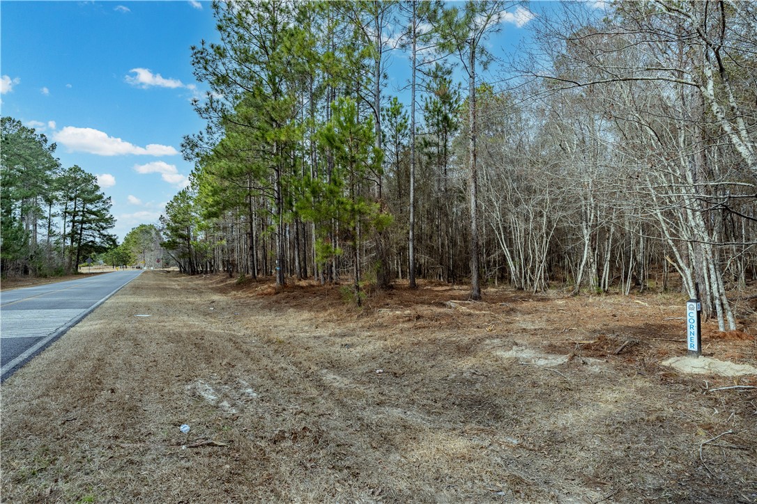 1 Wilson Woodard Road Eastman, GA 31023 - Photo 5 of 9