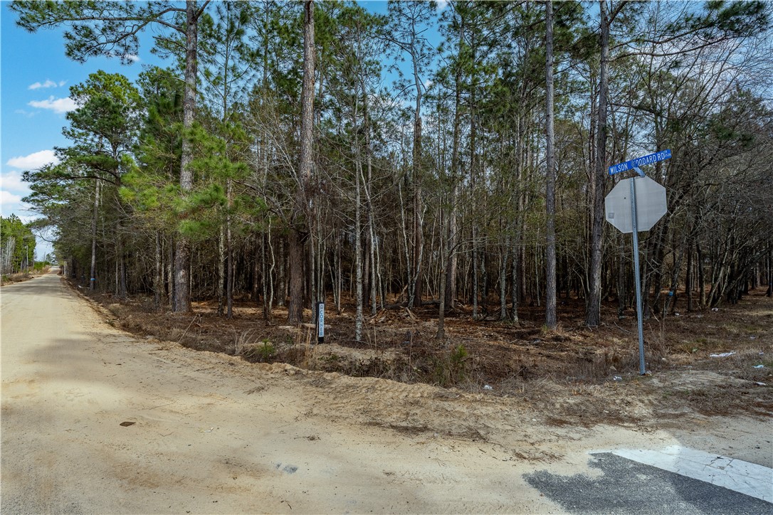 1 Wilson Woodard Road Eastman, GA 31023 - Photo 6 of 9