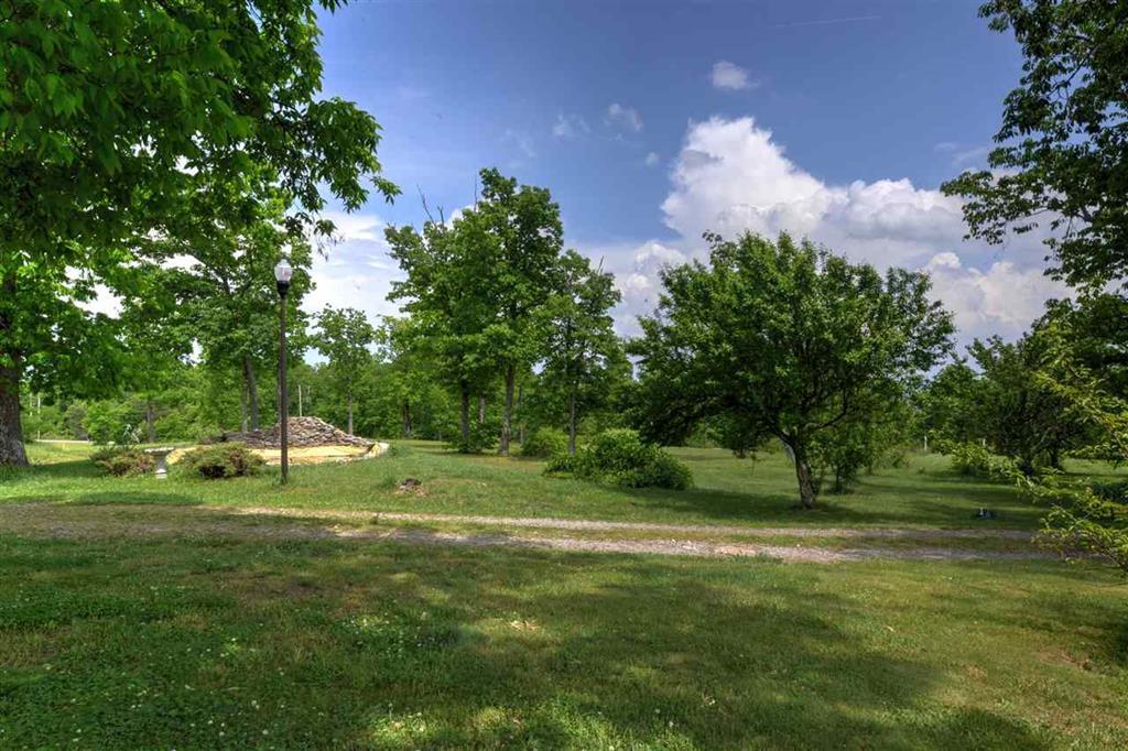 1027 Overlook Trail Spring City, TN 37381 - Photo 23 of 27 23