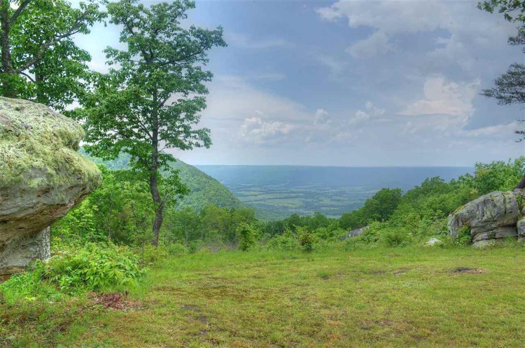 1027 Overlook Trail Spring City, TN 37381 - Photo 25 of 27 25