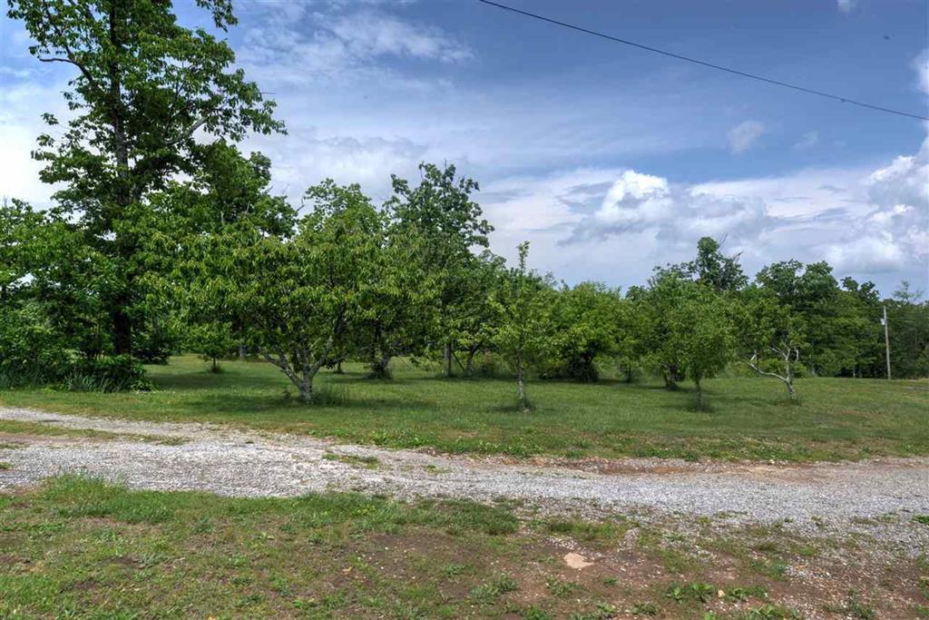 1027 Overlook Trail Spring City, TN 37381 - Photo 27 of 27 27