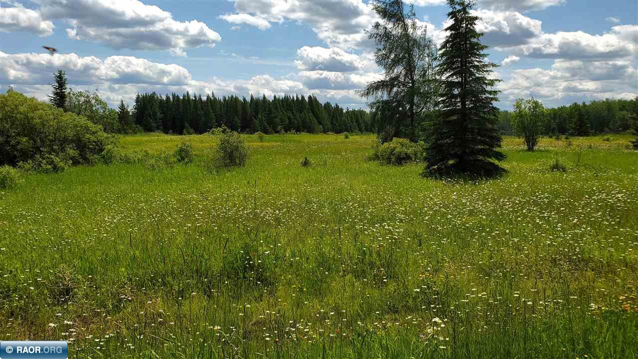 Lot A Olson Road Cook, MN 55723 - Photo 2 of 4