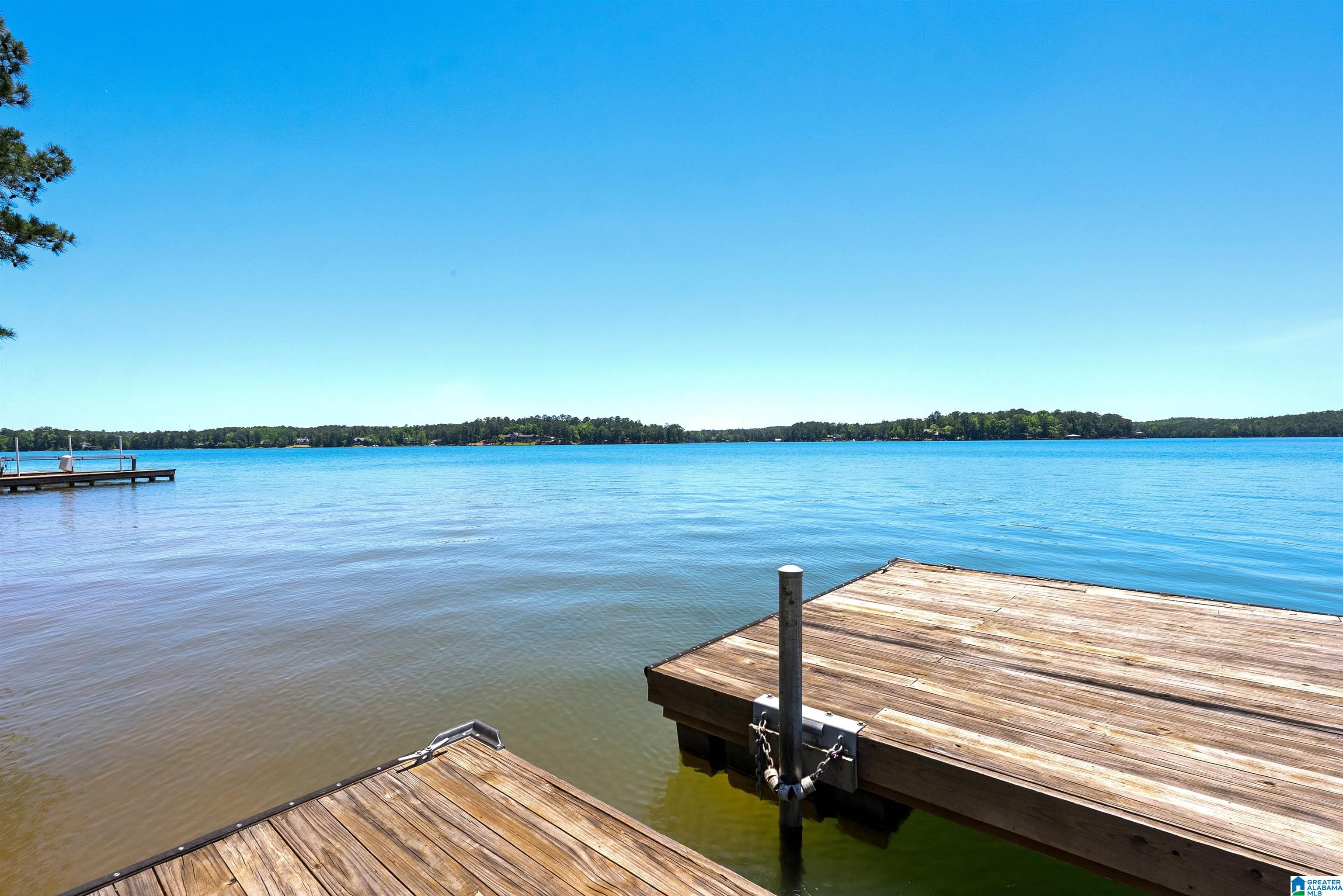 118 Canoe Point Eclectic, AL 36024 - Photo 45 of 60