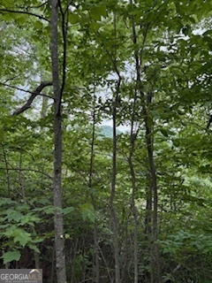 Lot Sm4 Raven Frk Trail Dillard, GA 30537 - Photo 11 of 11 a view of forest