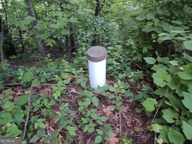 a view of a bird bath