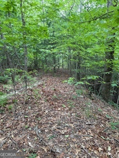 Lot Sm4 Raven Frk Trail Dillard, GA 30537 - Photo 10 of 11 a view of a yard with plants and large trees