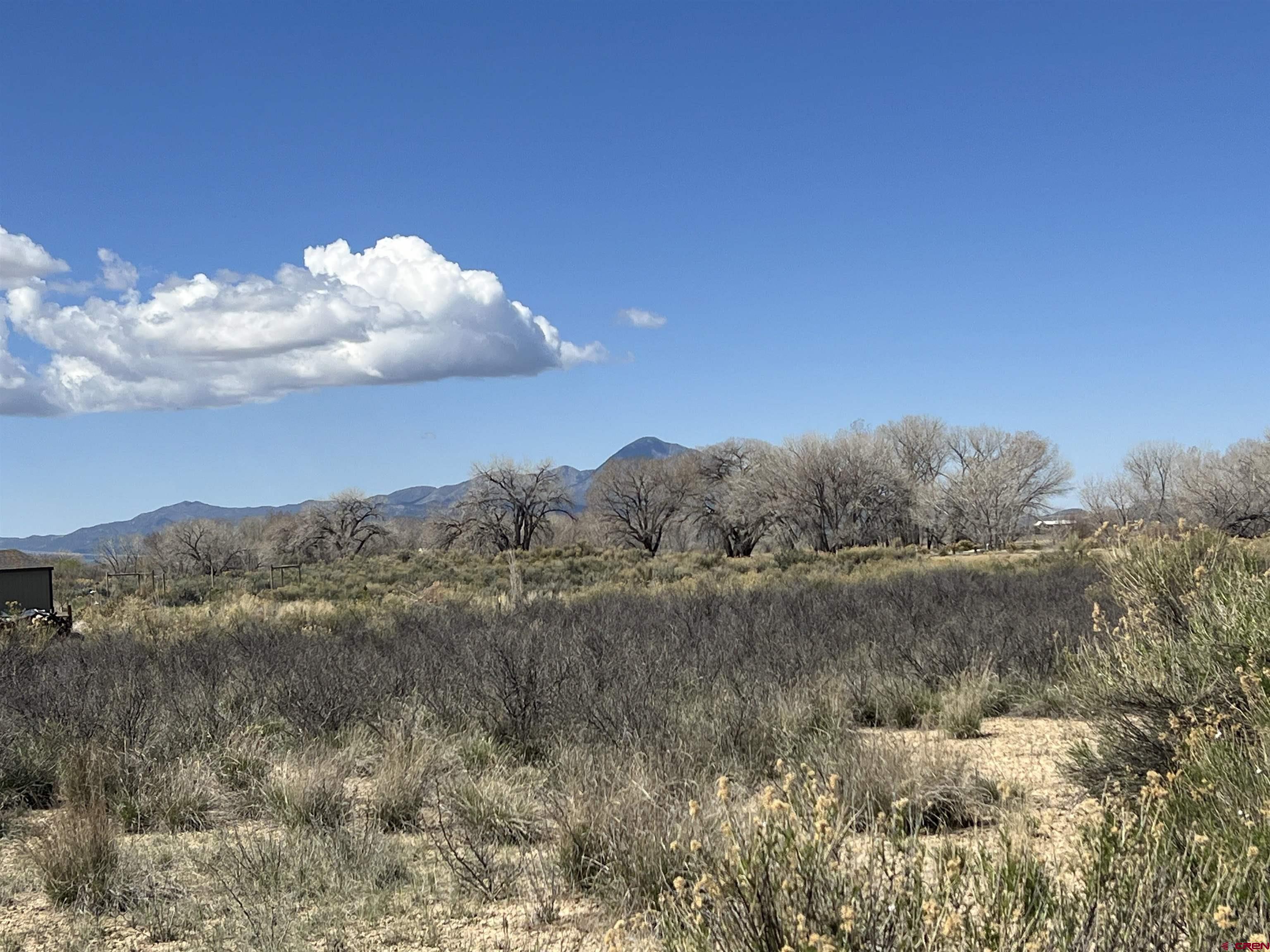 8385 Road 29.4 Loop Cortez, CO 81321 - Photo 5 of 8 a view of a lake in middle of forest