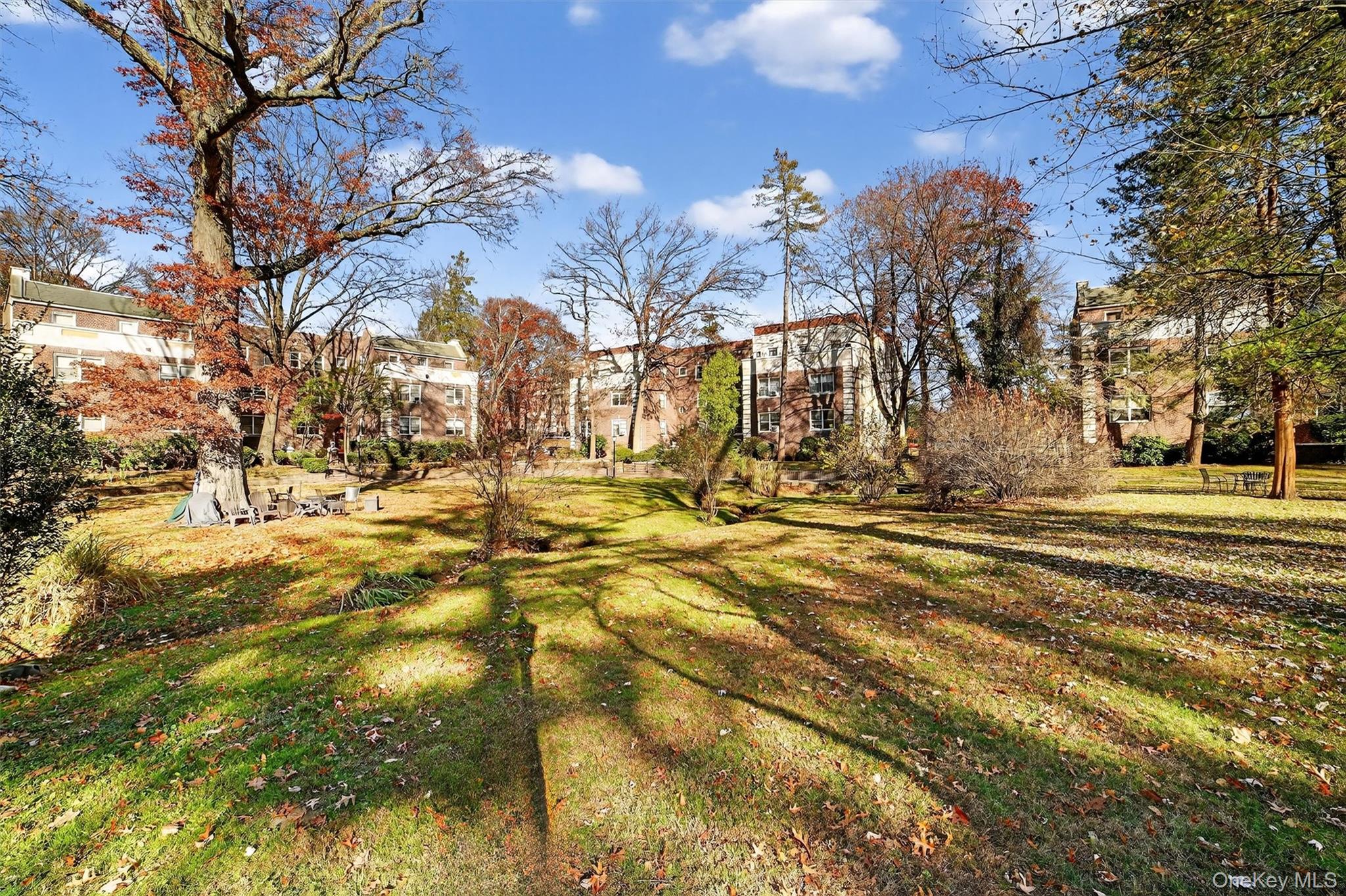 824 Palmer Road, Unit 2D Bronxville, NY 10708 - Photo 29 of 29 a view of road with large trees