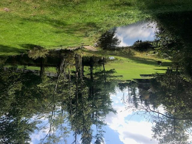 315 Thompsonville Road Monticello, NY 12701 - Photo 13 of 31 a view of a park with large trees
