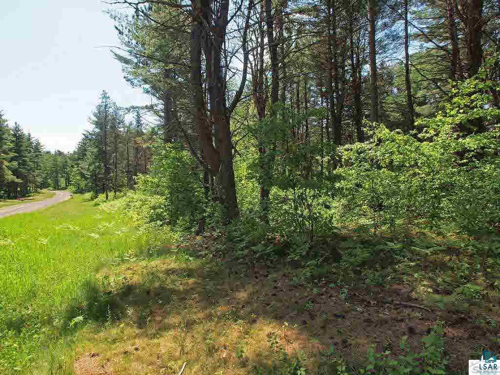 2155 Birch Tree Trail Barnes, WI 54873 - Photo 14 of 18