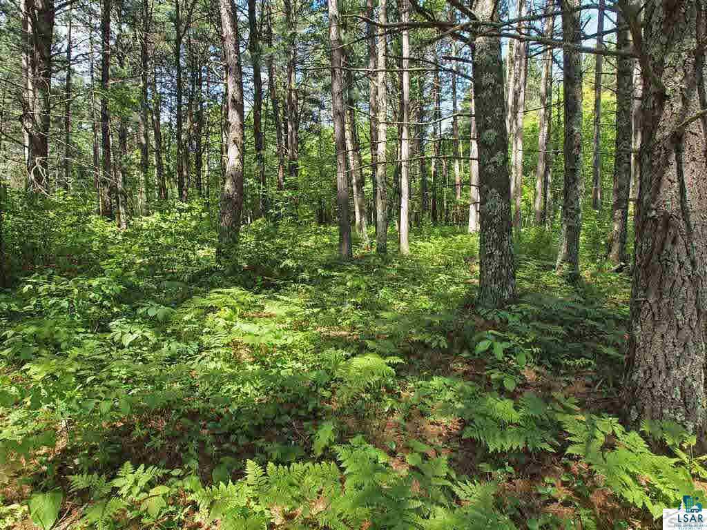 2155 Birch Tree Trail Barnes, WI 54873 - Photo 15 of 18