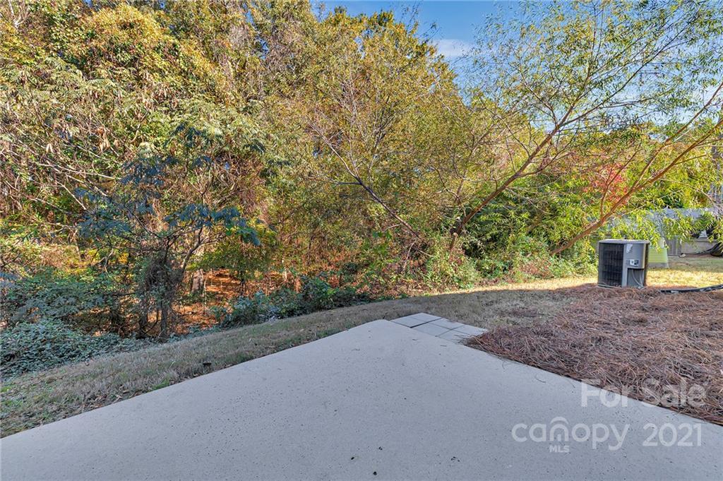 6931 Maricopa Road Charlotte, NC 28277 - Photo 29 of 31 a view of a yard with plants and trees