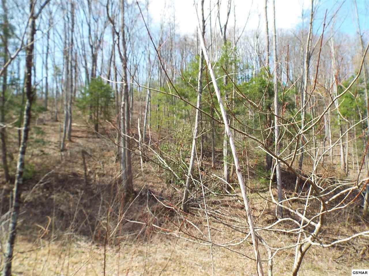7903 Ground Hog Road Cosby, TN 37722 - Photo 23 of 35 Gallery Image 23