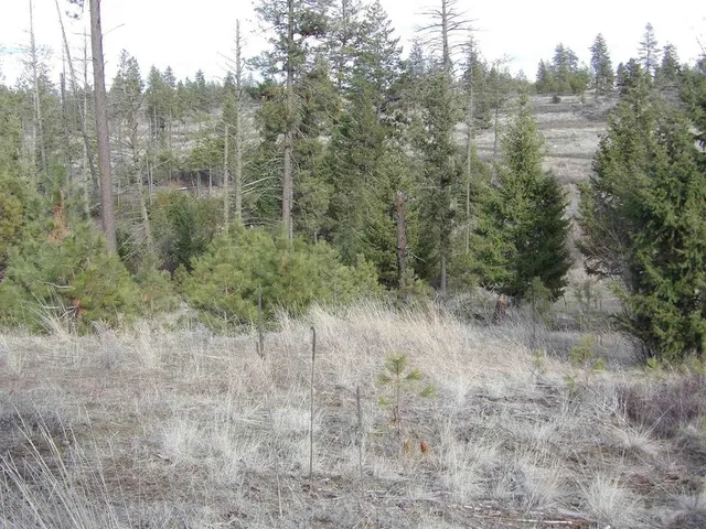 $65,000 | Tract E Tract E Meadow Lane Road, Davenport, WA 99122