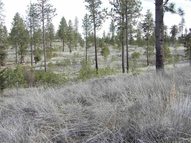 $65,000 | Tract E Tract E Meadow Lane Road, Davenport, WA 99122