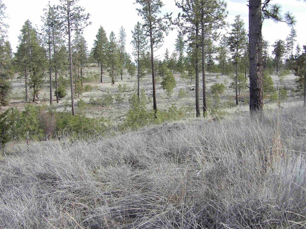 Tract E Tract E Meadow Lane Road Davenport, WA 99122 - Photo 12 of 13