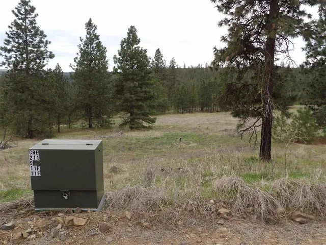 $65,000 | Tract E Tract E Meadow Lane Road, Davenport, WA 99122