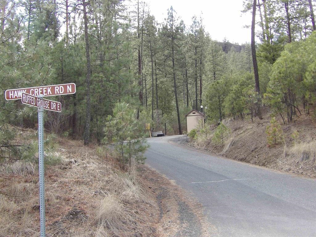 Tract E Tract E Meadow Lane Road Davenport, WA 99122 - Photo 2 of 13