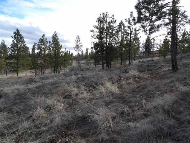 $65,000 | Tract E Tract E Meadow Lane Road, Davenport, WA 99122