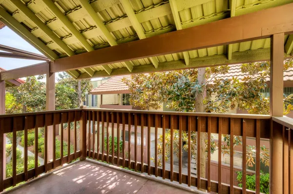a view of a park with palm trees