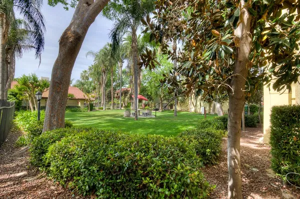 a view of a street with potted plants