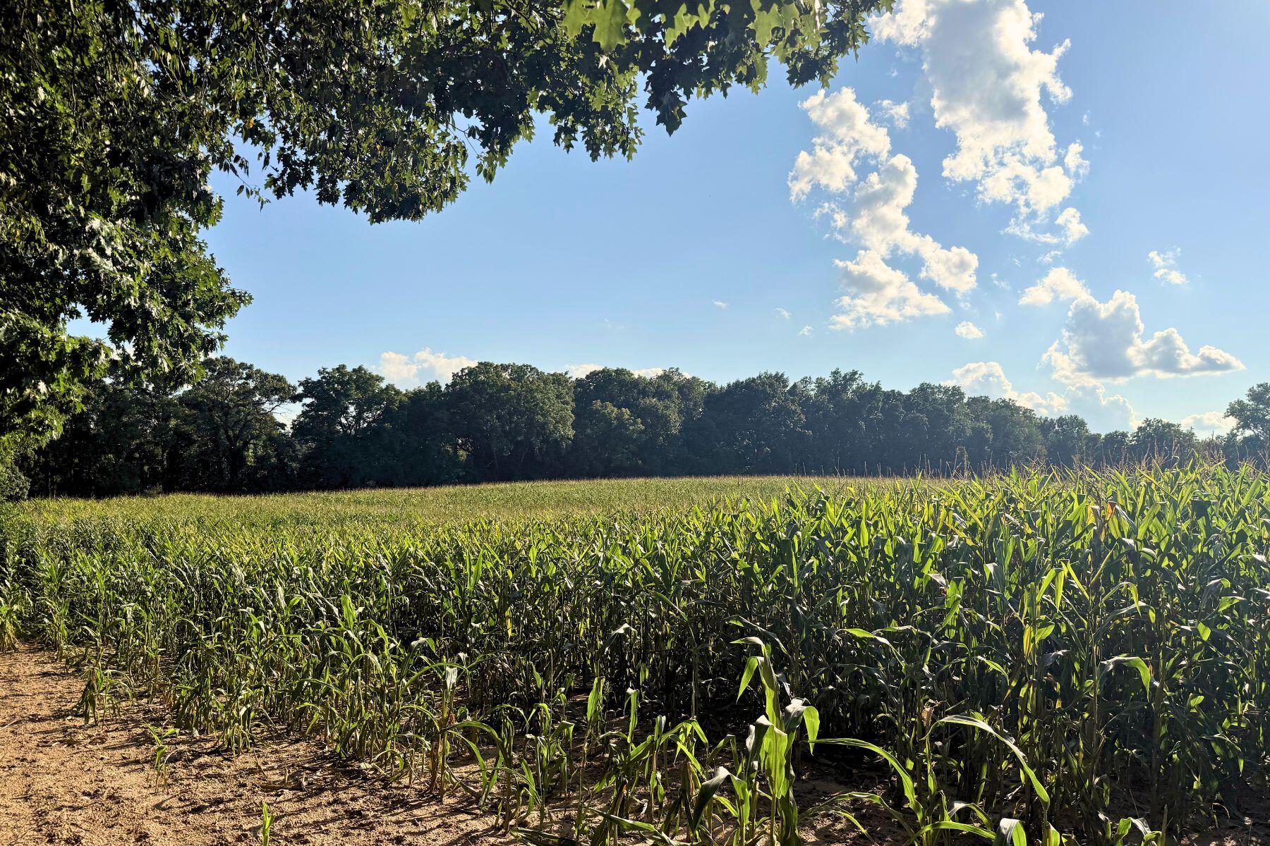 Vl Crego Road Brooklyn, MI 49230 - Photo 14 of 17 5