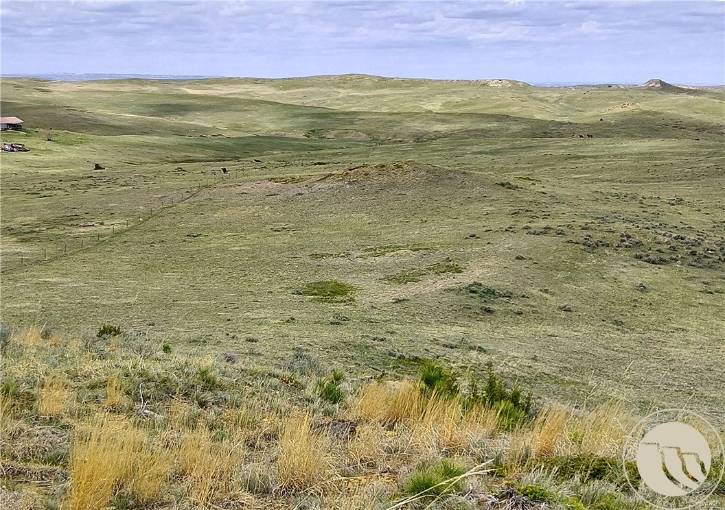 0 Davis Road Miles City, MT 59301 - Photo 14 of 46 Gallery Image 14