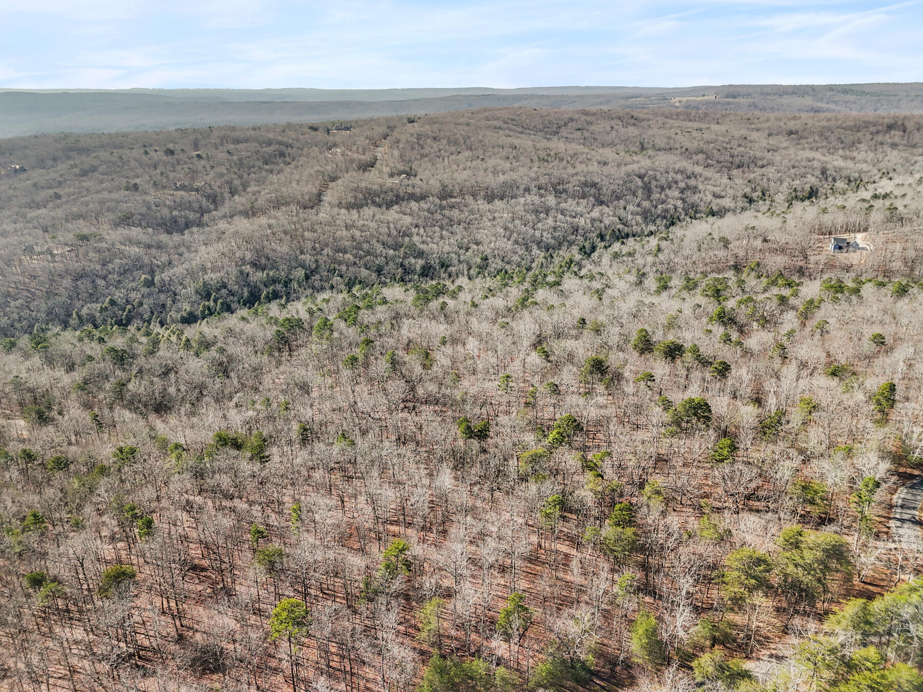 0 Tall Tree Trail, Unit 406 Dunlap, TN 37327 - Photo 4 of 22 dji_20260106014205_0595_d