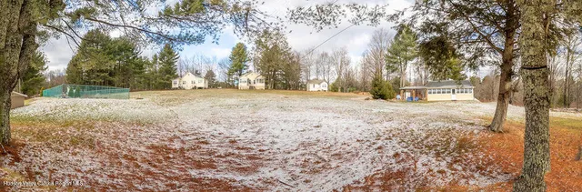a view of a yard with trees
