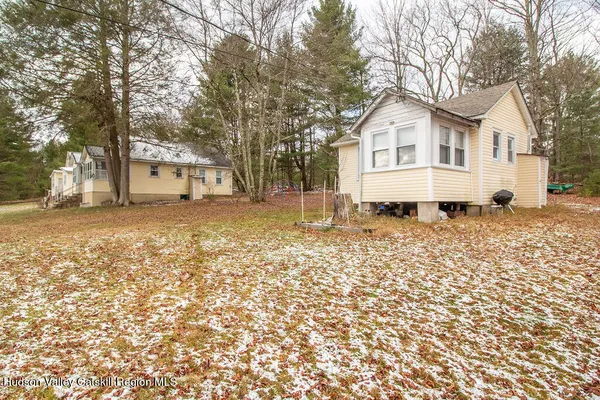 a road view with large trees