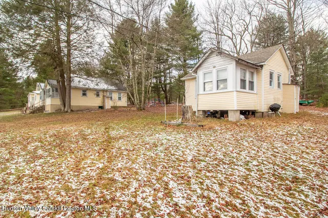 a road view with large trees