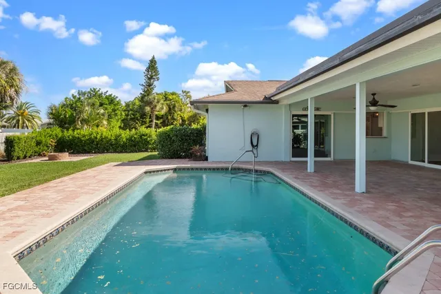 a view of a grassy field with an tree