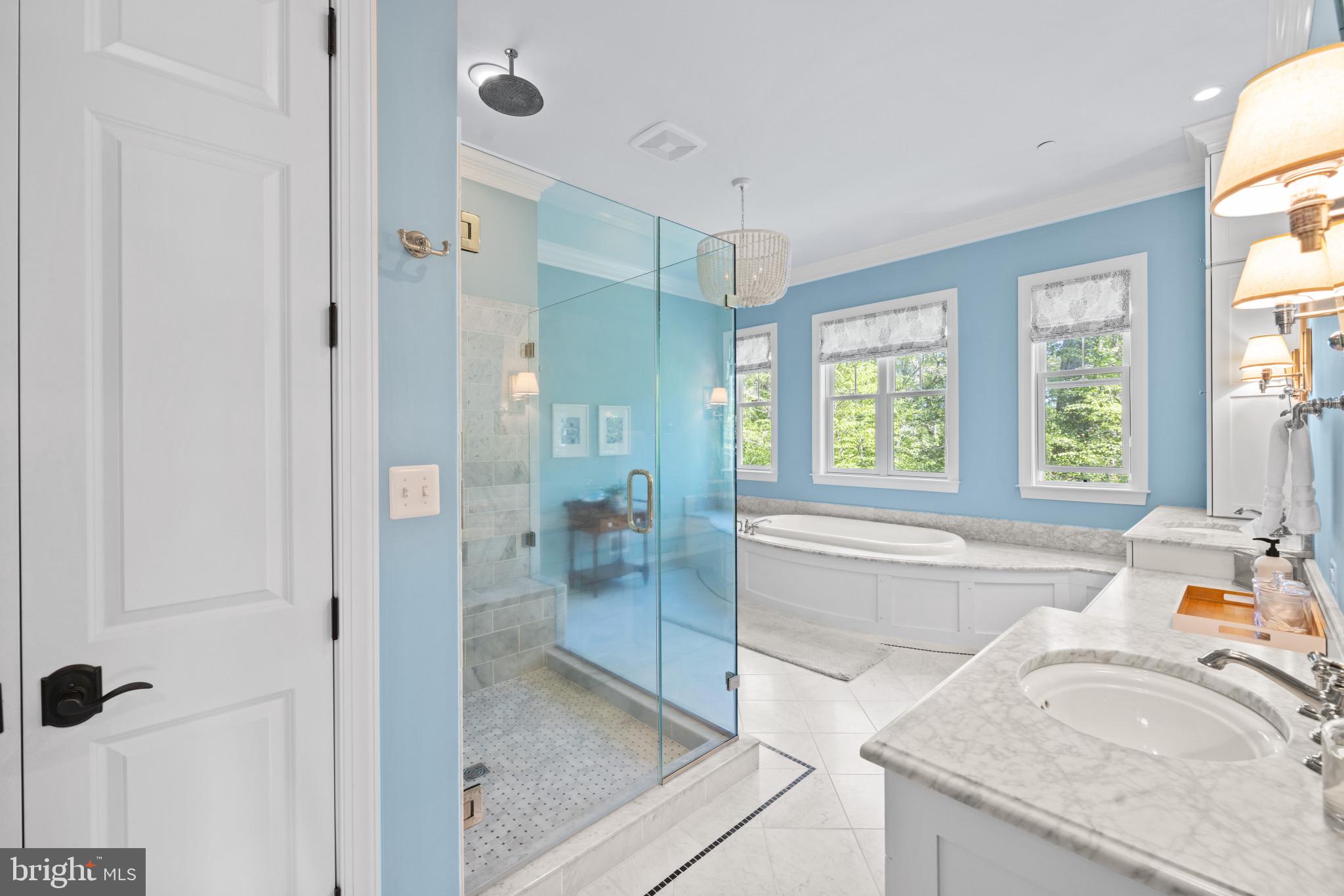 71 Wallace Manor Road Edgewater, MD 21037 - Photo 21 of 49 Spa-like Primary bathroom