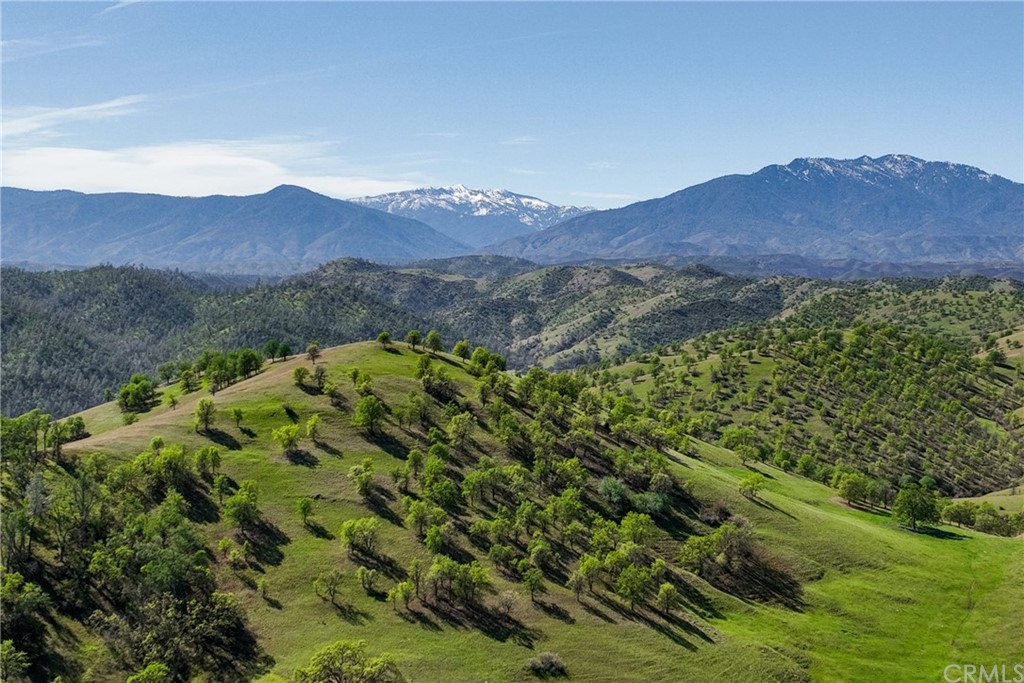 a view of a lush green hillside and a houses