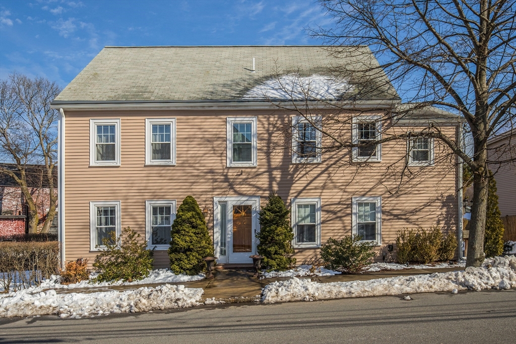 a front view of a house