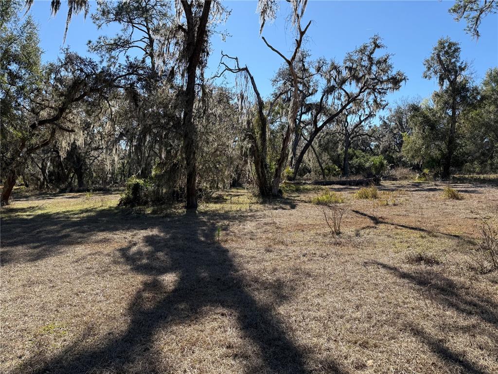 18630 Bradshaw Road Dade City, FL 33523 - Photo 29 of 43 a view of dirt yard with trees