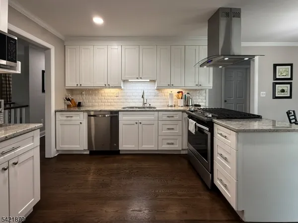 a kitchen with stainless steel appliances granite countertop a stove a sink dishwasher and a refrigerator