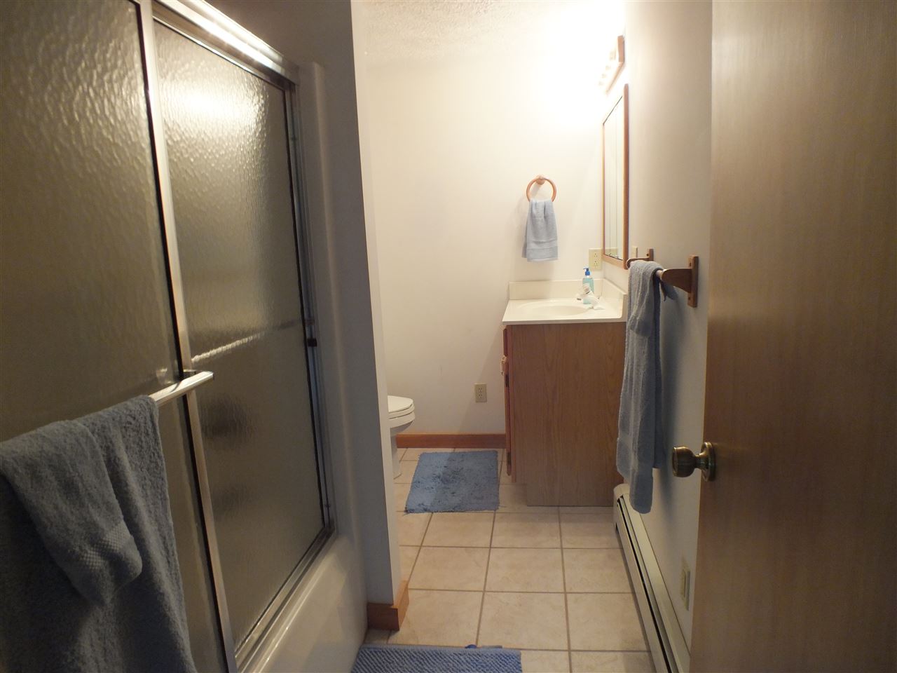6949 Demerly Road Benzonia, MI 49616 - Photo 28 of 29 1802675-31.JPG