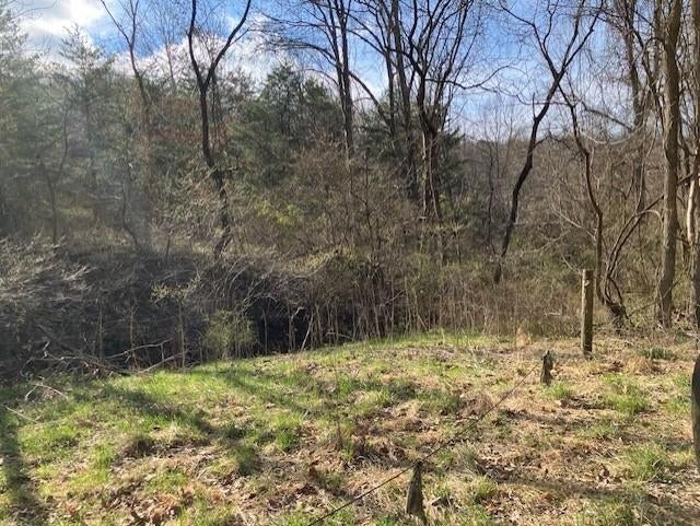 1402 Pierce Road Point Pleasant, WV 25550 - Photo 10 of 15 Gallery Image 10
