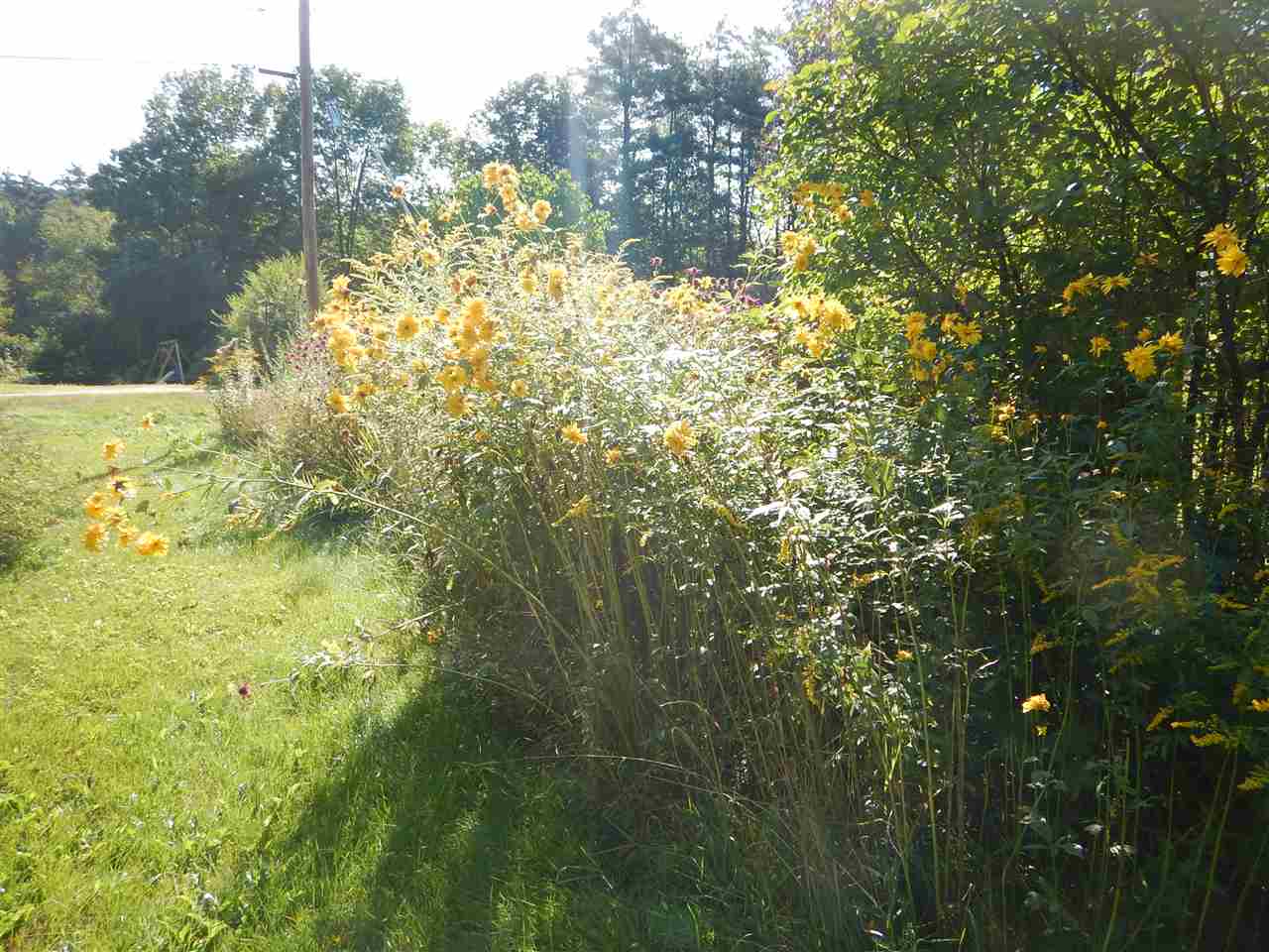 22 Island Road Warren, NH 03279 - Photo 19 of 23 Gallery Image 19