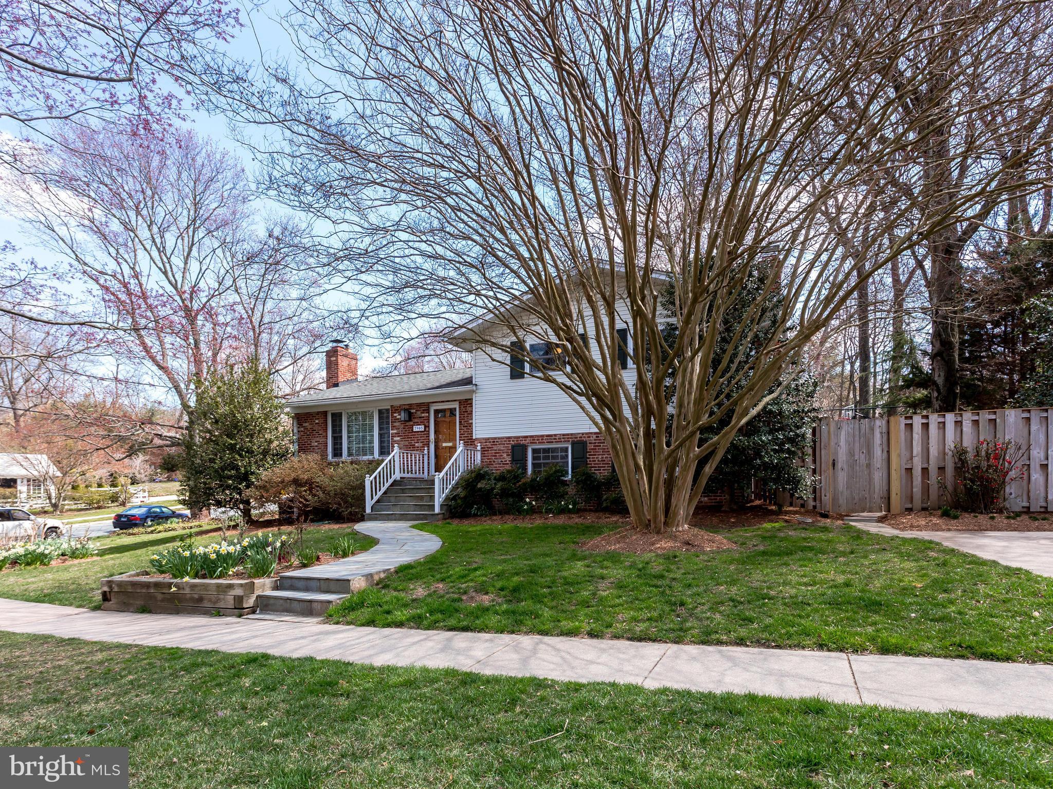 7905 Beech Tree Road Bethesda, MD 20817 - Photo 3 of 25 Exterior (Front)