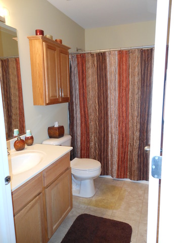 549 Springbrook Trail North Oswego, IL 60543 - Photo 17 of 19 a bathroom with a sink a toilet and a mirror
