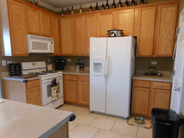549 Springbrook Trail North Oswego, IL 60543 - Photo 8 of 19 a kitchen with stainless steel appliances a refrigerator sink and cabinets